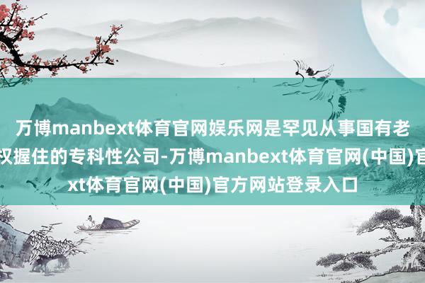 万博manbext体育官网娱乐网是罕见从事国有老本蓄意和国有股权握住的专科性公司-万博manbext体育官网(中国)官方网站登录入口