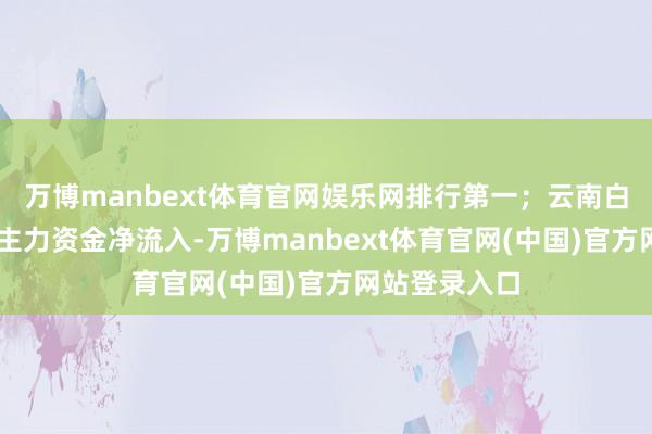万博manbext体育官网娱乐网排行第一；云南白药相接13日主力资金净流入-万博manbext体育官网(中国)官方网站登录入口