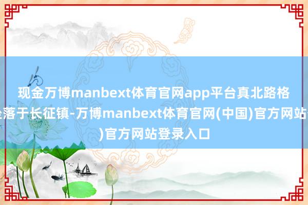 现金万博manbext体育官网app平台 真北路格局地块坐落于长征镇-万博manbext体育官网(中国)官方网站登录入口