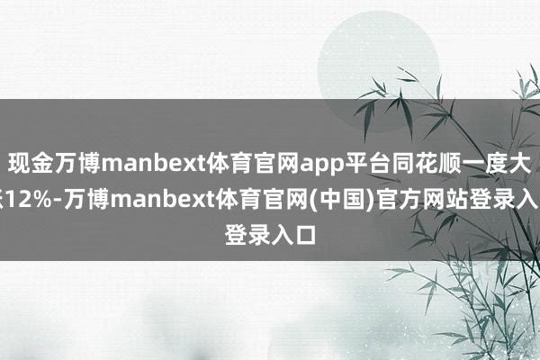 现金万博manbext体育官网app平台同花顺一度大涨12%-万博manbext体育官网(中国)官方网站登录入口