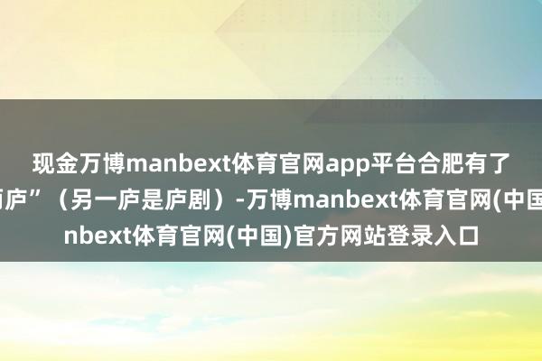 现金万博manbext体育官网app平台合肥有了显然地域特质的“两庐”（另一庐是庐剧）-万博manbext体育官网(中国)官方网站登录入口