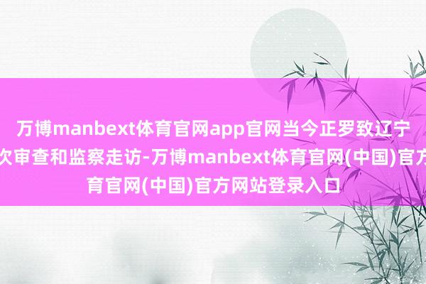 万博manbext体育官网app官网当今正罗致辽宁省纪委监委顺次审查和监察走访-万博manbext体育官网(中国)官方网站登录入口